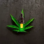 Mikä on CBD öljy?
